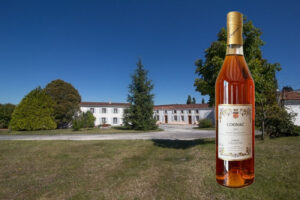 Fradon XO Cognac featured image