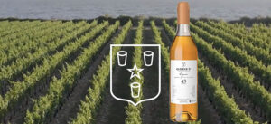 Godet 43 years old single cask cognac